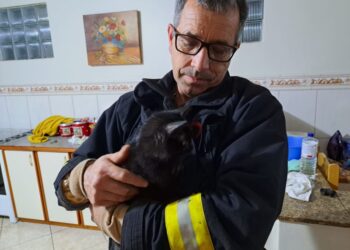 Bombeiros Voluntários resgatam felino preso e rede pluvial em Tupanciretã